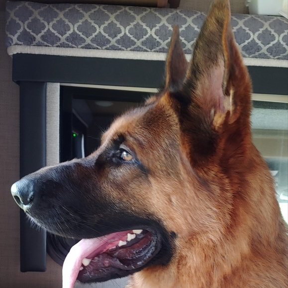 Meet your Posher, Laura - Picture 7 of 10